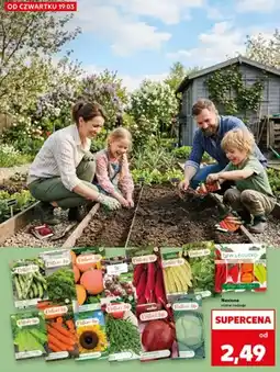 Kaufland Nasiona różne rodzaje oferta