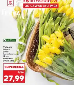 Kaufland Tulipany bukiety jedno- lub wielokolorowe oferta
