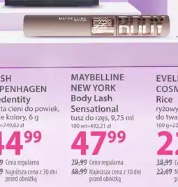 Hebe Ryżowy puder Rice oferta
