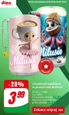 Dino Chusteczki nawilżane w puszce mini Brainrot oferta