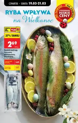 Biedronka Pstrąg tęczowy patroszony świeży oferta