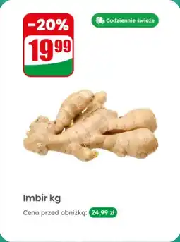 Dino Imbir na wagę oferta