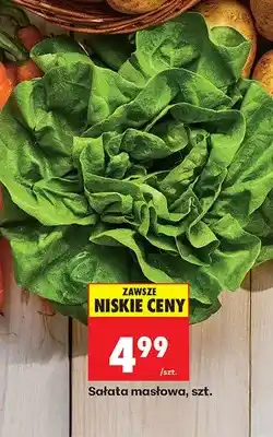Biedronka Sałata masłowa oferta