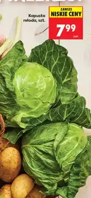 Biedronka Kapusta młoda oferta