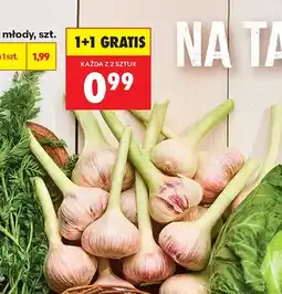 Biedronka Czosnek młody oferta