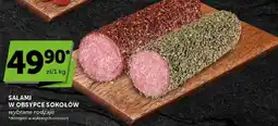 ABC Salami w obsypce sokołów oferta