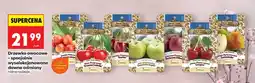 Biedronka Drzewko owocowe specjalnie wyselekcjonowane dawne odmiany różne rodzaje oferta