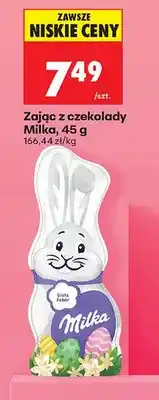 Biedronka Zając z czekolady oferta
