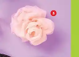 Biedronka Spinka z różą lub kwiatkiem oferta