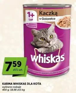 ABC Karma dla kota z kaczką w galaretce oferta