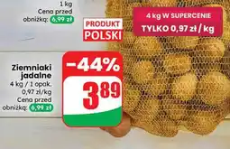 Dino Ziemniaki jadalne oferta