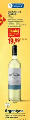 Lidl Wino Pinot Grigio oferta
