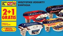 Biedronka Fantasia jogurty oferta