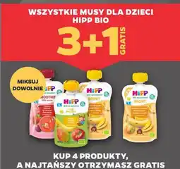 Netto WSZYSTKIE MUSY DLA DZIECI HIPP BIO oferta