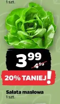 Netto Sałata masłowa oferta