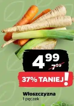 Netto Włoszczyzna oferta