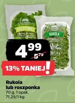 Netto Rukola lub roszponka oferta