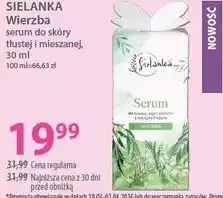 Hebe SIELANKA Wierzba serum do sk3ry tłustej i mieszanej oferta