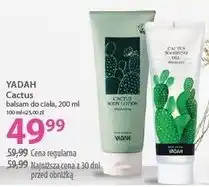 Hebe YADAH Cactus balsam do ciała oferta