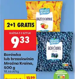 Biedronka Mroźna Kraina Borówka/Brzoskwinia oferta