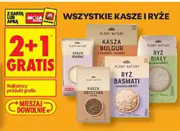 Biedronka Plony Natury Kasze i Ryże oferta