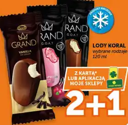 Groszek Lody Koral oferta