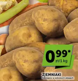 Groszek Ziemniaki oferta