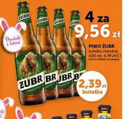 Groszek Piwo Zubr oferta