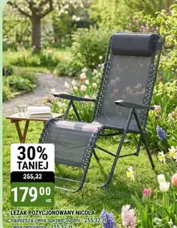 bi1 Leżak pozycjonowany Nicola oferta