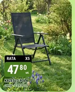 bi1 Krzesło Pola oferta