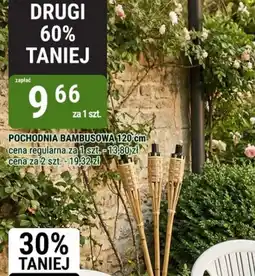 bi1 Pochodnia bambusowa oferta