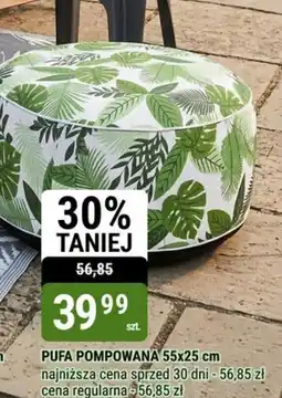 bi1 Pufa pompowana oferta