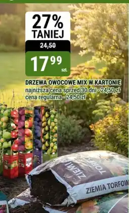 bi1 Drzewa owocowe mix w kartonie oferta