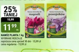bi1 Planta nawóz oferta