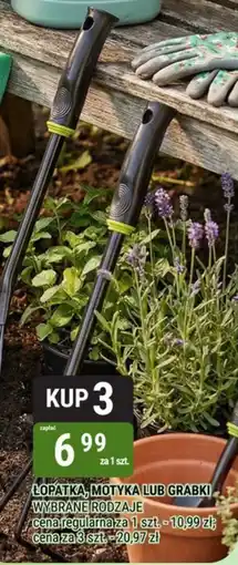 bi1 Lopatka, motyka lub grabki oferta