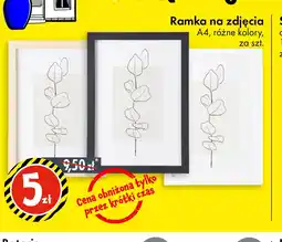 Tedi Ramka na zdjęcia oferta
