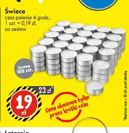 Tedi Swiece oferta