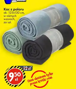 Tedi Koc z polaru oferta