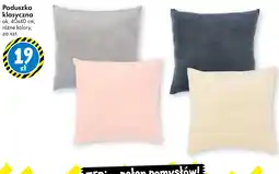 Tedi Poduszka klasyczna oferta