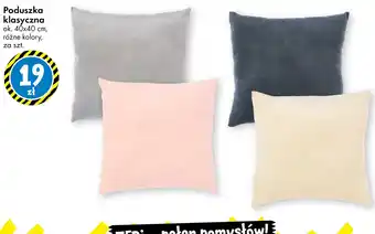 Tedi Poduszka klasyczna oferta