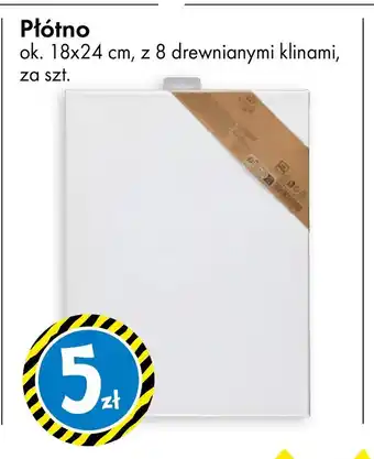 Tedi Płótno oferta