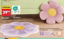 Biedronka Dywanik oferta