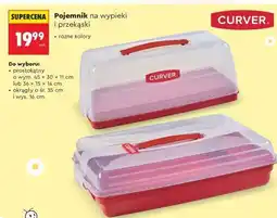 Biedronka Pojemnik na wypieki i przekąski oferta