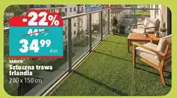 Biedronka Sztuczna trawa Irlandia oferta