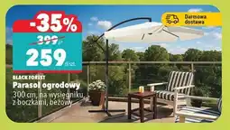 Biedronka Parasol ogrodowy oferta
