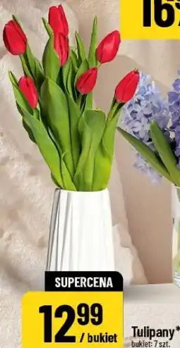 Polomarket Tulipany oferta