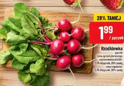 Polomarket Rzodkiewka oferta