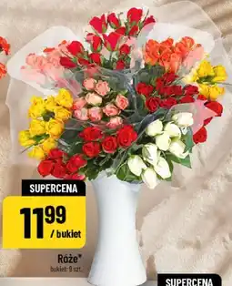 Polomarket Róże oferta