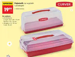 Biedronka Pojemnik na wypieki i przekąski CURVER oferta