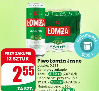 Dino Piwo Łomża Jasne oferta